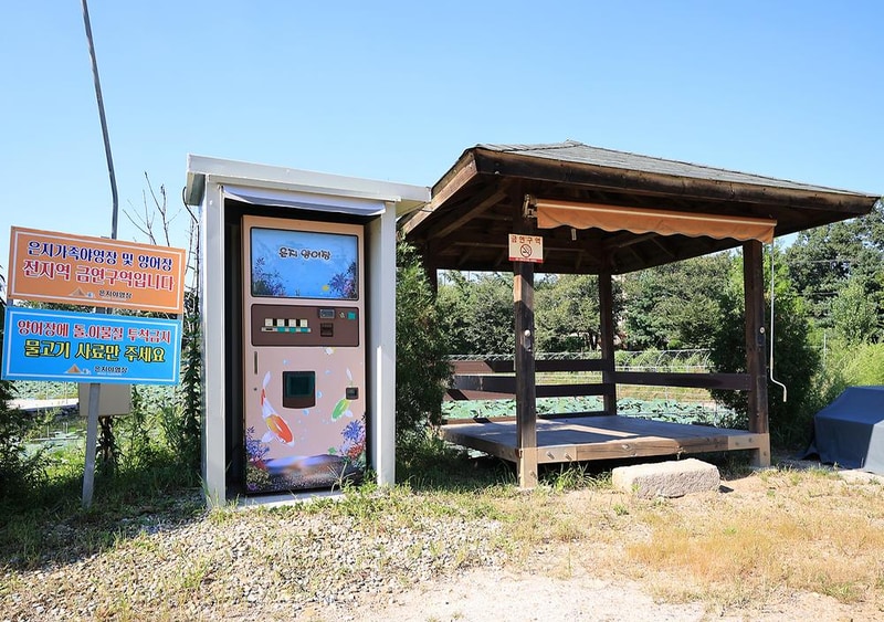 은지가족야영장 시설 사진 10