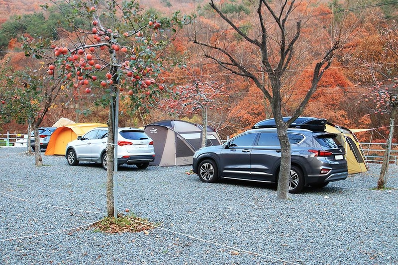 용천토리 오토캠핑장 시설 사진 1