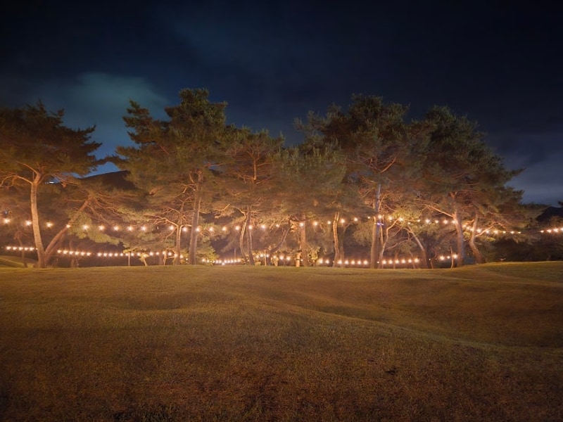 [청주] 애견동반 신생 카라반 캠핑장 초정힐링캠핑장