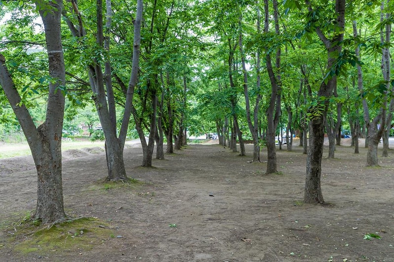 금관숲캠핑장 시설 사진 7