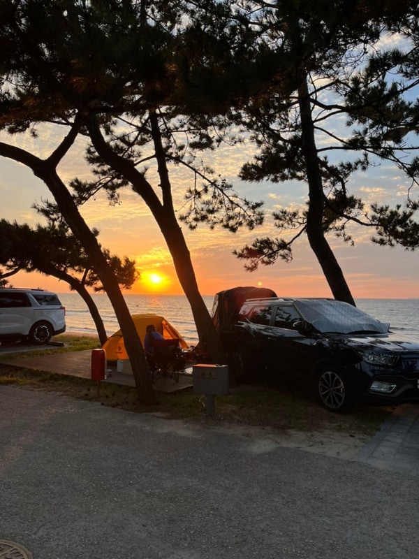 전북 고창 | 차박 | 동호 국민여가캠핑장 /싸이트B6