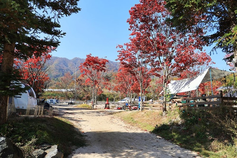 위드독스in포천 시설 사진 6