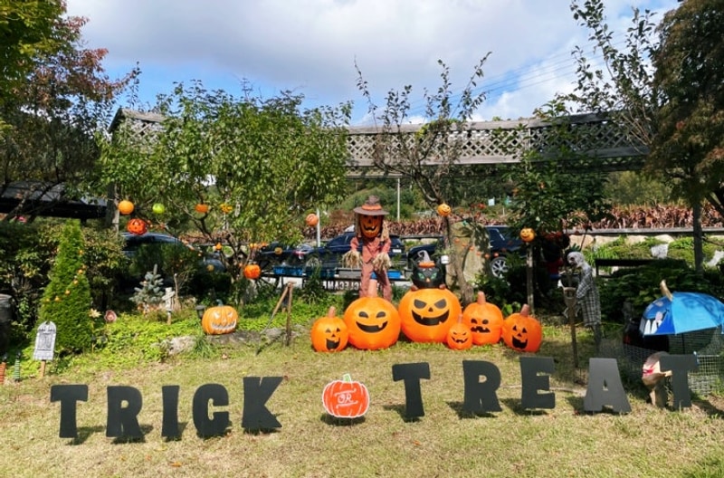 캠핑) 제천 엉클캠프 다녀왔어요 할로윈캠,가을캠핑으로 최고!
