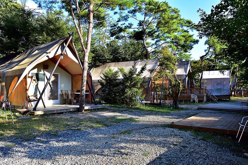 파인트리 캠핑장 시설 사진 12