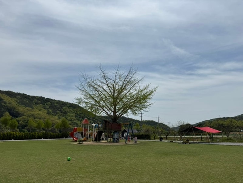 캠핑하기 좋은 계절:) 광주근교 봄캠핑 장성옛서당캠핑농원