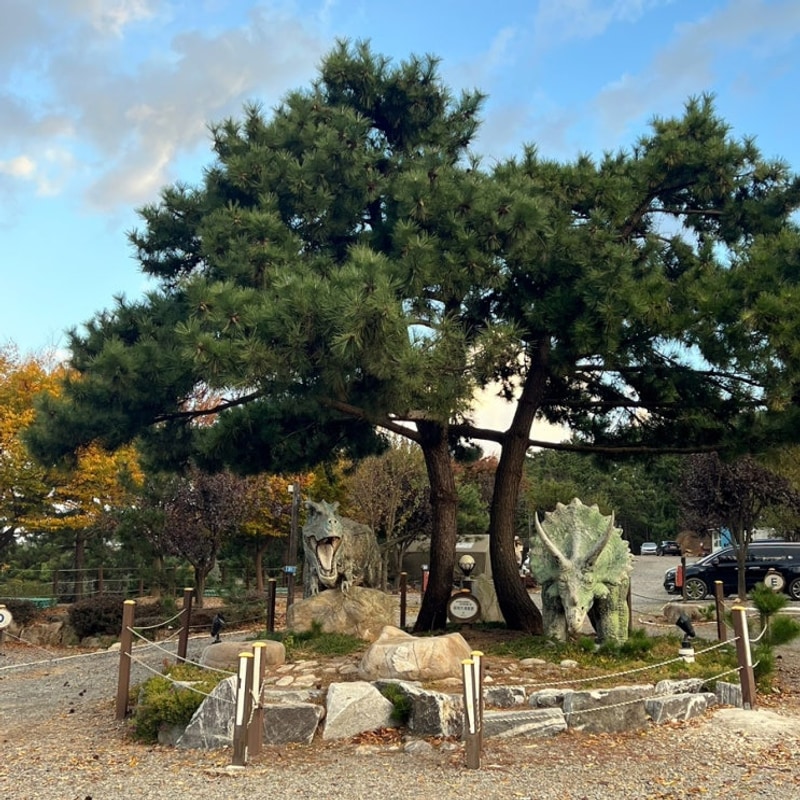 [백패킹] SE클럽 태안 둘레길 캠핑장&펜션