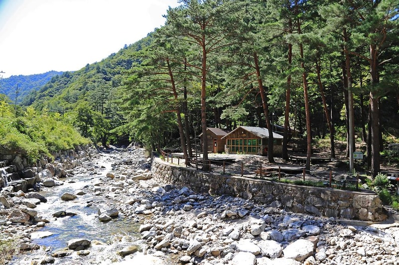 국립미천골자연휴양림 시설 사진 8
