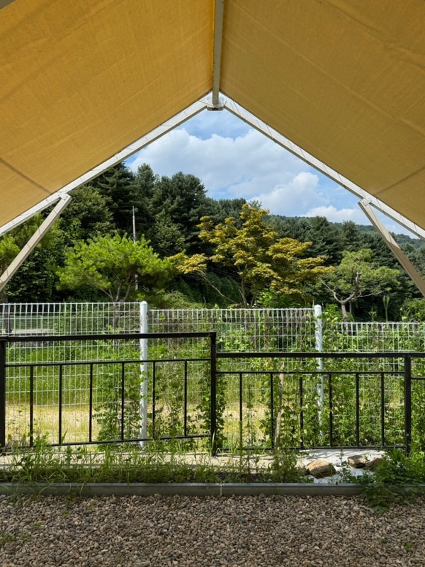 ‘가평 나아정캠핑장'에서의 첫 캠핑! (타프존 2번, 예약...