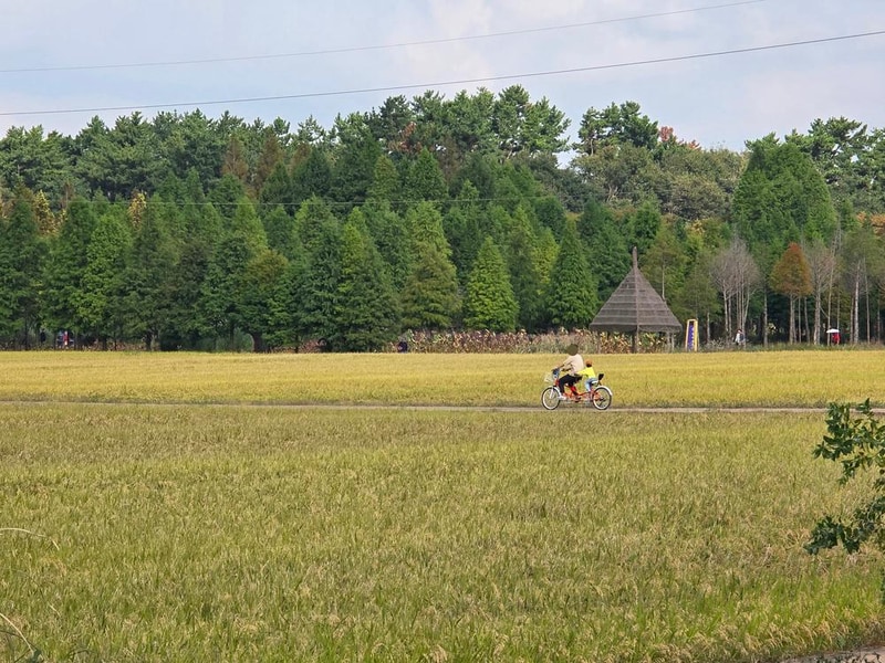 달산 글램핑 시설 사진 13