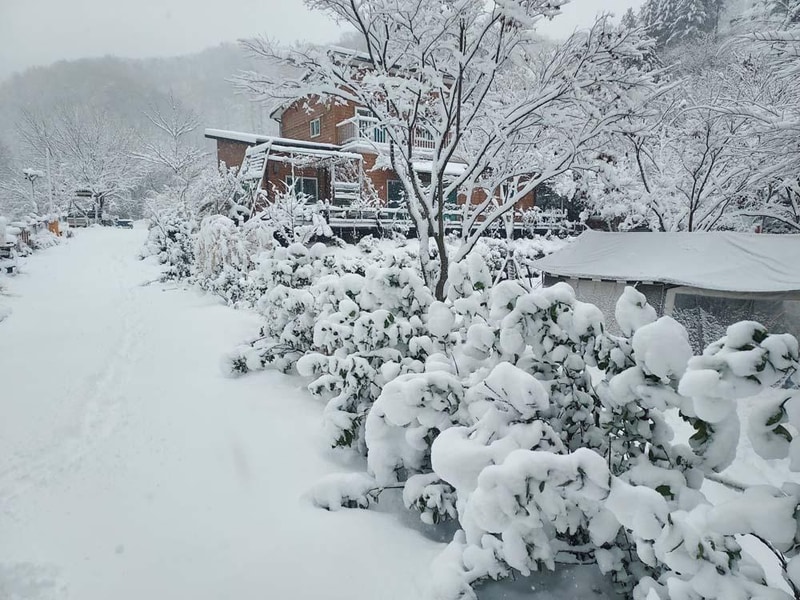 횡성산울림오토캠핑장 시설 사진 10