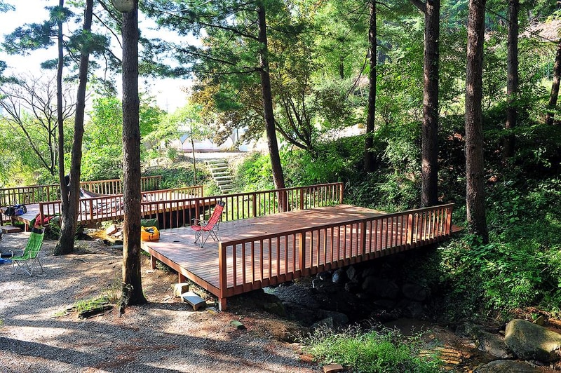 유식물원 관광농원 시설 사진 6