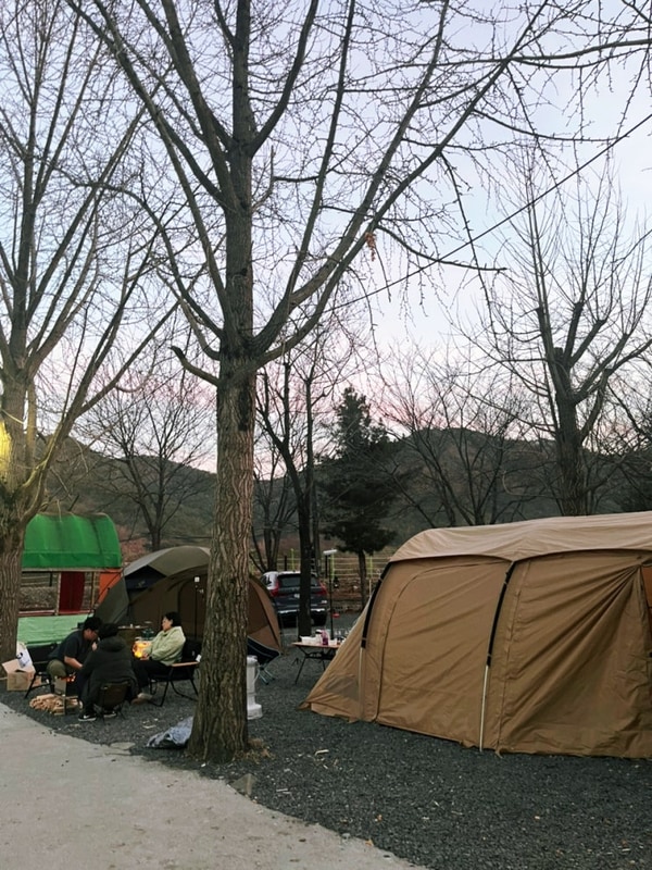 부산 근교 아이랑 청도 별빛마을 오토캠핑장 1박 내돈내산 후기