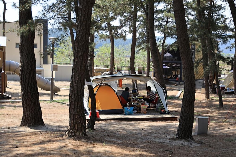 맹방 비치캠핑장 시설 사진 10