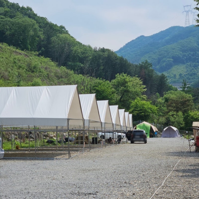가평 타프존캠핑장 넓은 계곡... 지지밸리유명산오토캠핑장...