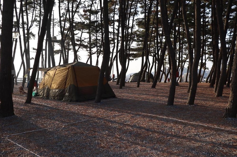 몽산포오토캠핑장 2구역 시설 사진 8