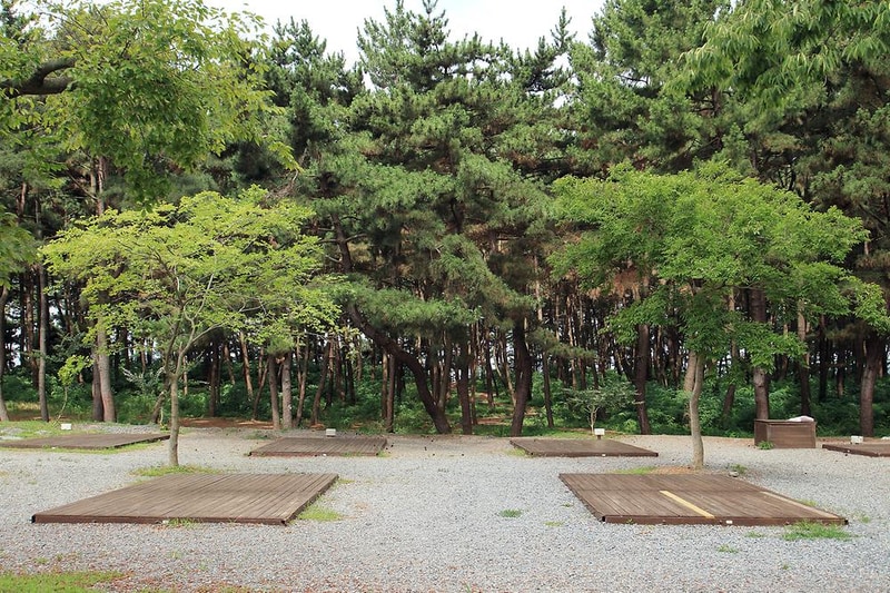 솔바람 캠핑장 시설 사진 7