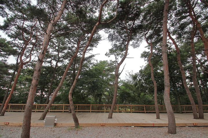 용봉산캠핑장 대표 사진