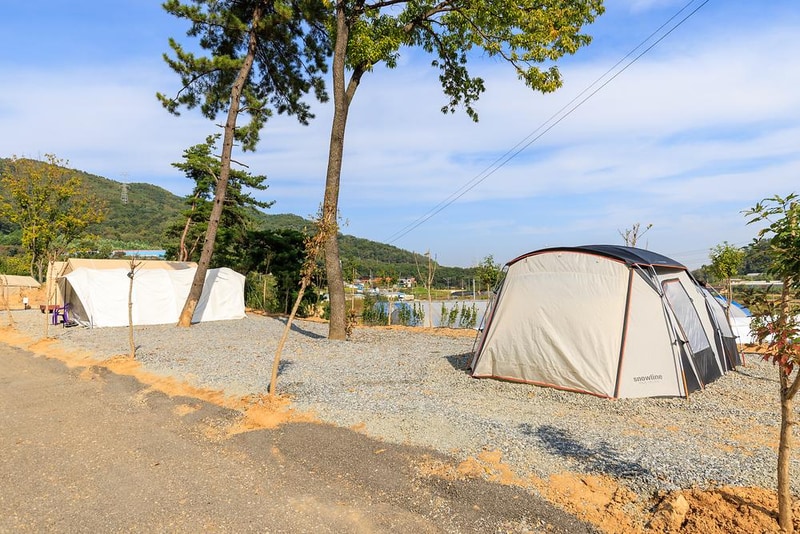 세제골농원 숲속야영장 시설 사진 22