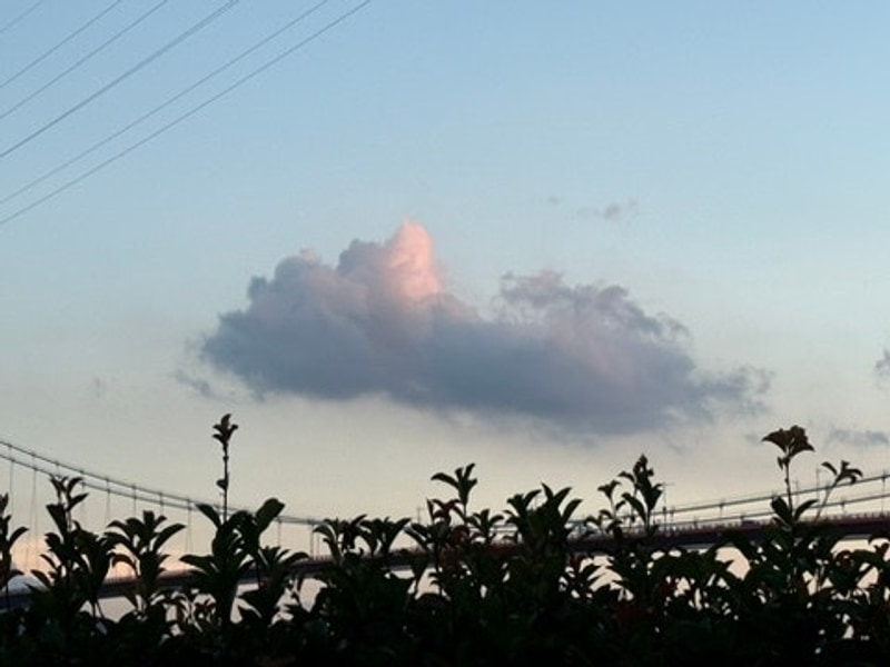 된 남해 캠핑 l 남해 제일횟집, 하동 노량 투다리 오토캠핑장