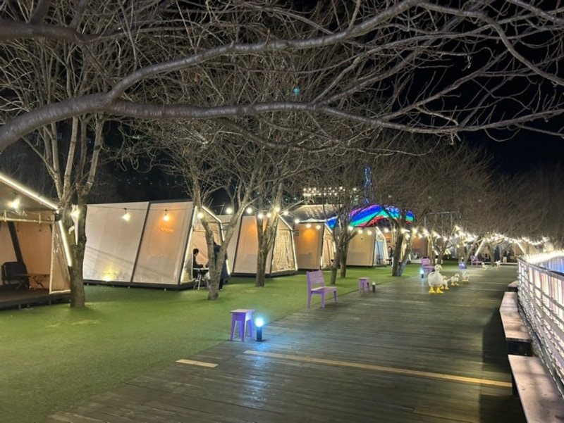 청도 글램핑 프로방스 빛축제 무료입장! 청도 프로방스 글램핑