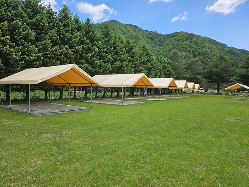 야단법석 대표 사진