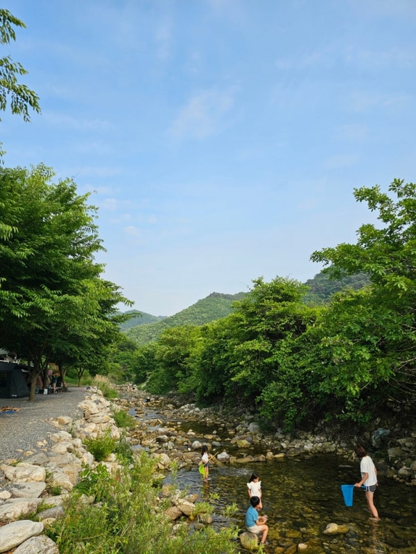 EP.25 아빠의 캠핑장 원주