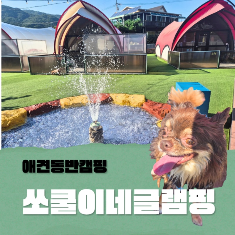 포천글램핑 쏘쿨이네글램핑 애견동반캠핑추천