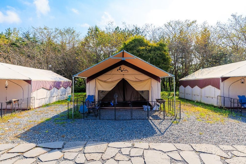 펫앤트리 시설 사진 17