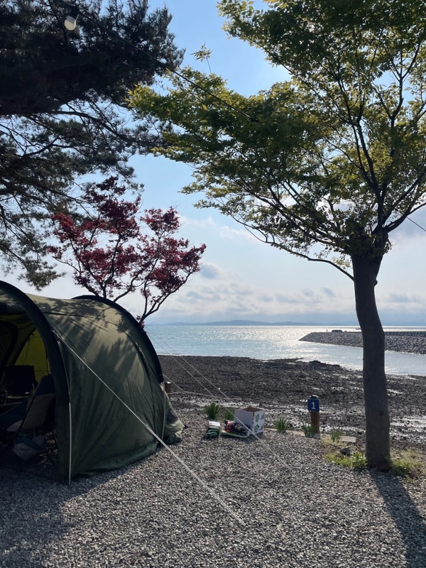 보령 바다야놀자 캠핑장 후기/ 바다뷰 노을맛집 / 아이랑...