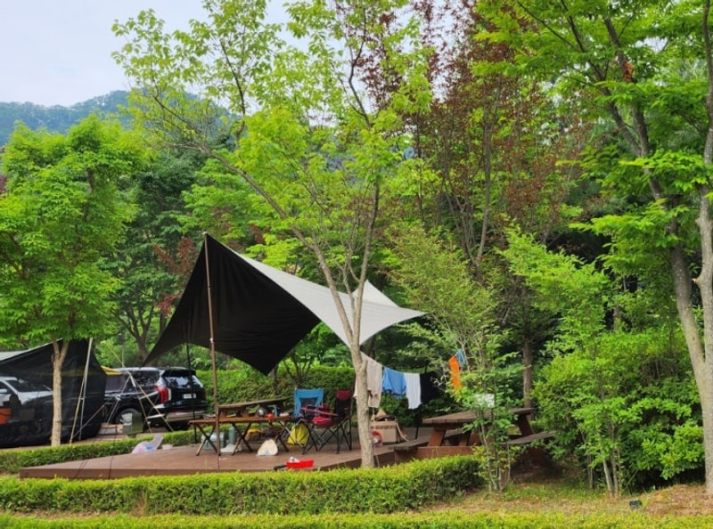 홍천강 오토캠핑장