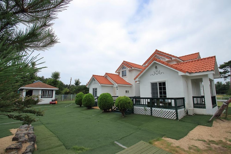 파라독스 애견펜션 / 돔글램핑&오토캠핑장 시설 사진 16