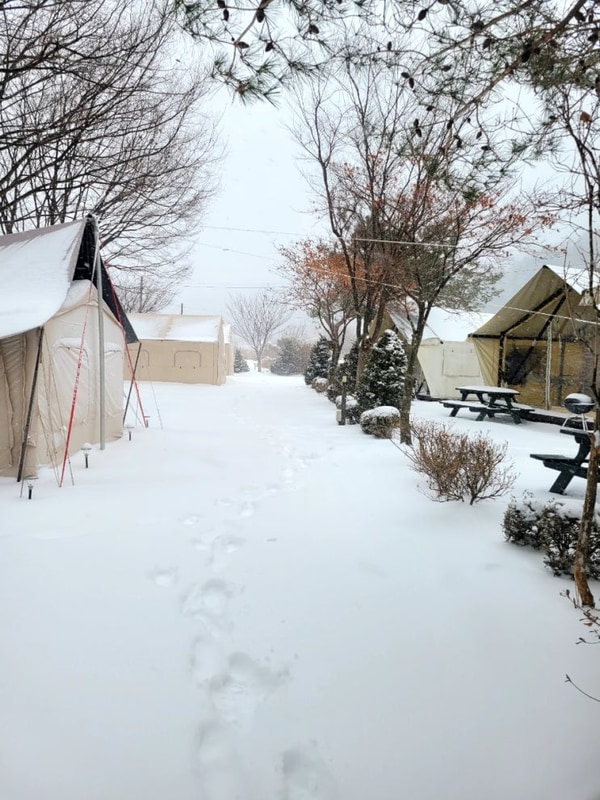 [원주] 풀타프존 설중캠핑 '아빠의캠핑장' 느티나무 1번 사이트