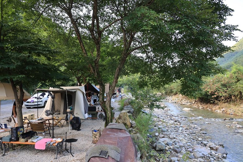 담터 금학캠핑장 시설 사진 6