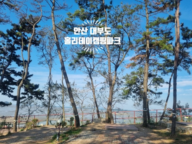 안산대부도 홀리데이캠핑파크! 카라반! 텐트, 차박, 피크닉...