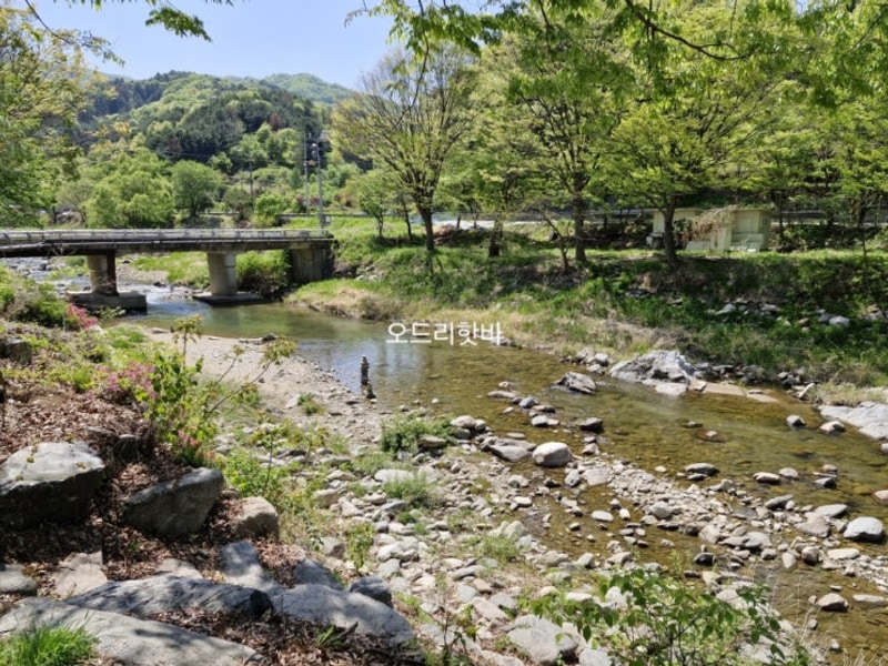 [캠핑]#지지밸리유명산오토캠핑장