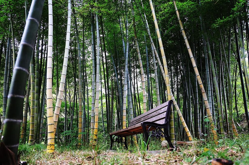 복골캠핑장 시설 사진 8