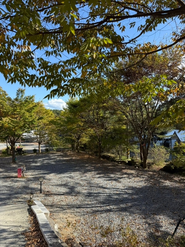 제천 선녀와 나무꾼 캠핑장 후기 | 가족 할로윈 캠핑 10/24~27