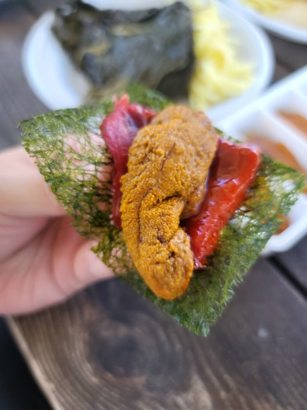 어느 날의 캠핑 기록 상주 감꽃마을서울캠핑장