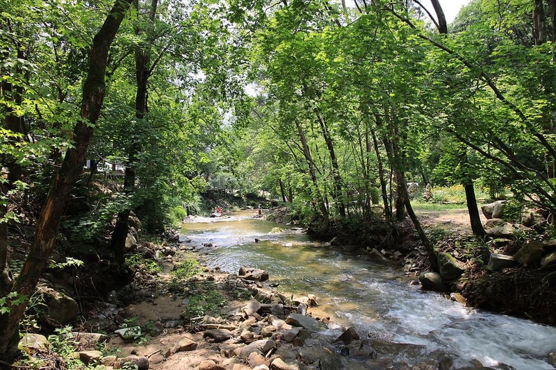 평창 태기산 캠핑장 펜션 시설 사진 23