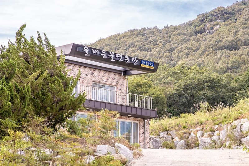 솔내음 물댄동산 야영장 시설 사진 9