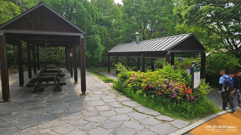 2024년 회사워크샵(@중랑캠핑숲@중랑가족캠핑장@중랑캠핑장)