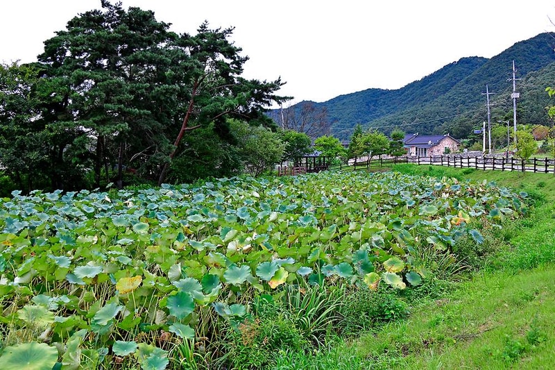 섬진강향가오토캠핑장 시설 사진 7