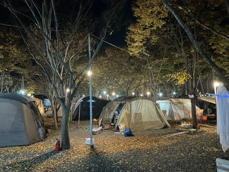 청도여행 별찌캠핑장 펜션 별찌야영장 가족여행 후기