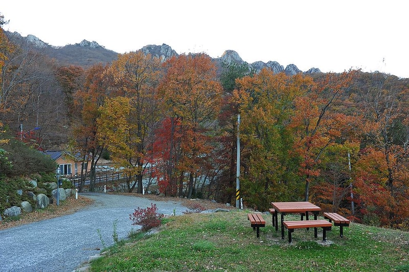 팔영산 자연휴양림 야영장 시설 사진 8