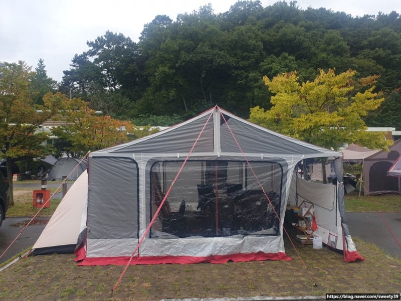 금산 국민여가 캠핑장, 금산 인삼축제