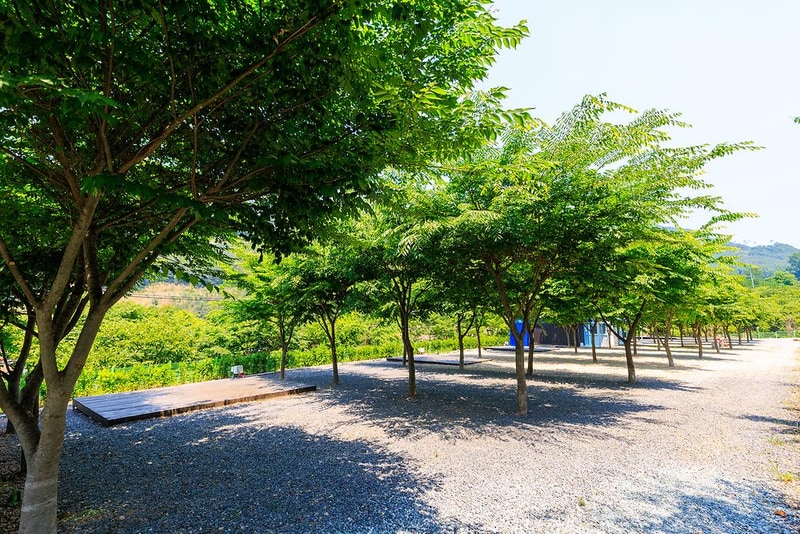 밀양 가보자 캠핑장 시설 사진 1