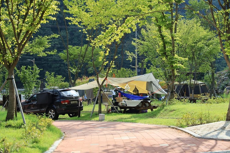 홍천강 자라바위 오토캠핑장 시설 사진 26