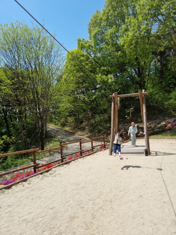 남원 교룡공원 숲속야영장 이용후기(매너타임×, 차량통제×)