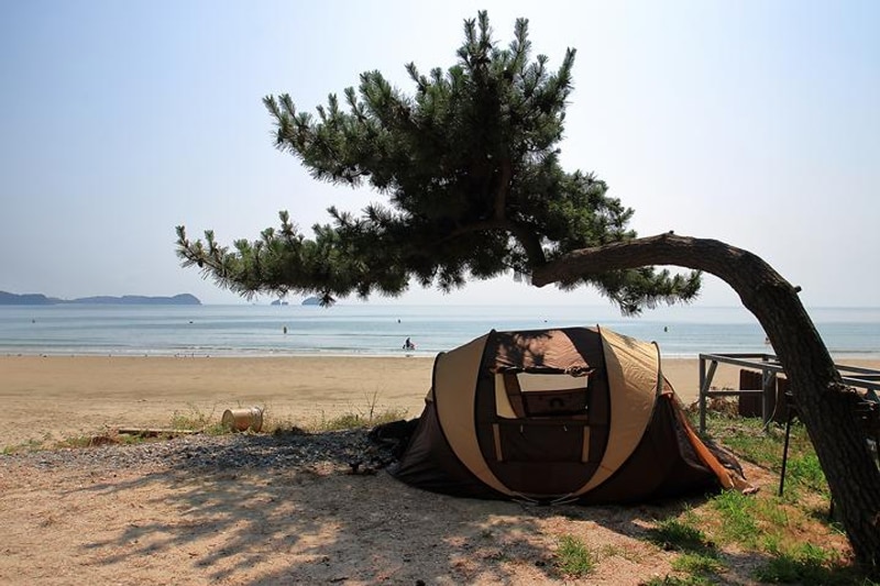 한마음오토캠핑장 대표 사진