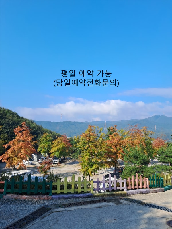 단풍숲캠핑장 대표 사진
